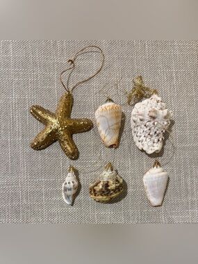 Vintage Real Seashell & Gilded Starfish Christmas Ornaments Set of 6 Coastal